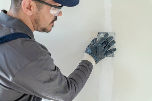Best Water Damage & Mold Remediation  in Forestbrook, SC