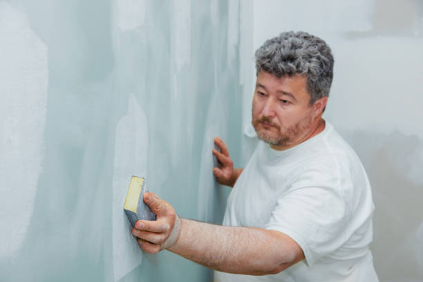 Best Black Mold Removal  in Forestbrook, SC